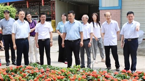 自治區(qū)政協(xié)常委、梧州市政協(xié)主席黃振饒蒞臨百裕集團(tuán)走訪調(diào)研